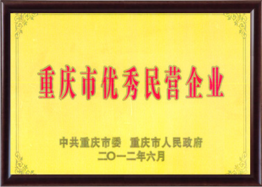 重慶市優(yōu)秀民營企業(yè)