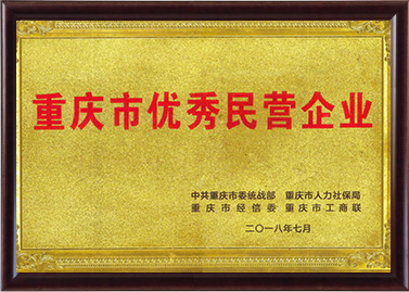 重慶市優(yōu)秀民營企業(yè)