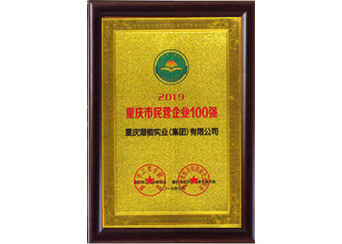 重慶市民營企業(yè)100強