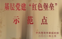 成武公司連續(xù)榮獲市、縣多項(xiàng)榮譽(yù)