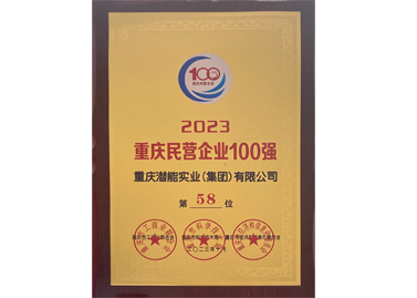 重慶民營企業(yè)100強